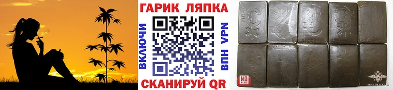 ГАШ Premium  где продают   Краснозаводск 