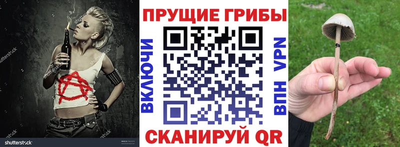 наркошоп  Краснозаводск  Галлюциногенные грибы MAGIC MUSHROOMS 