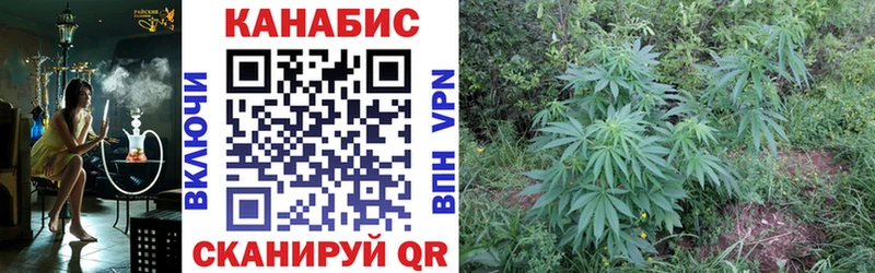 Бошки Шишки Ganja  купить наркотик  Краснозаводск 